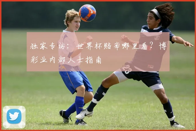 独家专访：世界杯赔率哪里看？博彩业内部人士指南