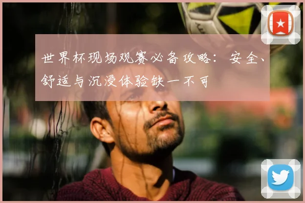 世界杯现场观赛必备攻略：安全、舒适与沉浸体验缺一不可