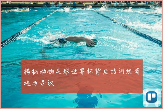 揭秘动物足球世界杯背后的训练奇迹与争议