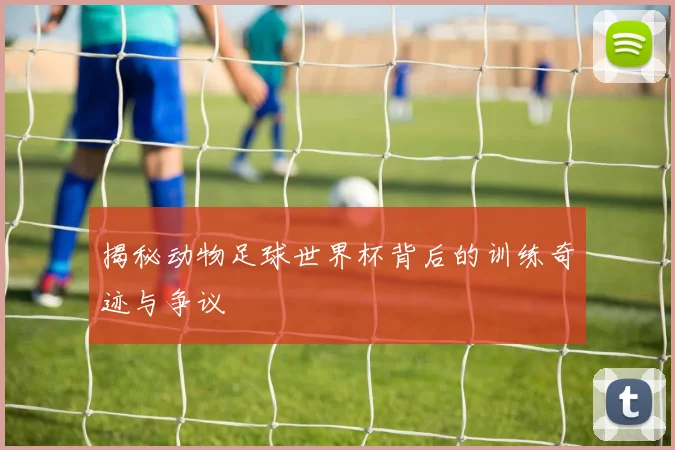 揭秘动物足球世界杯背后的训练奇迹与争议