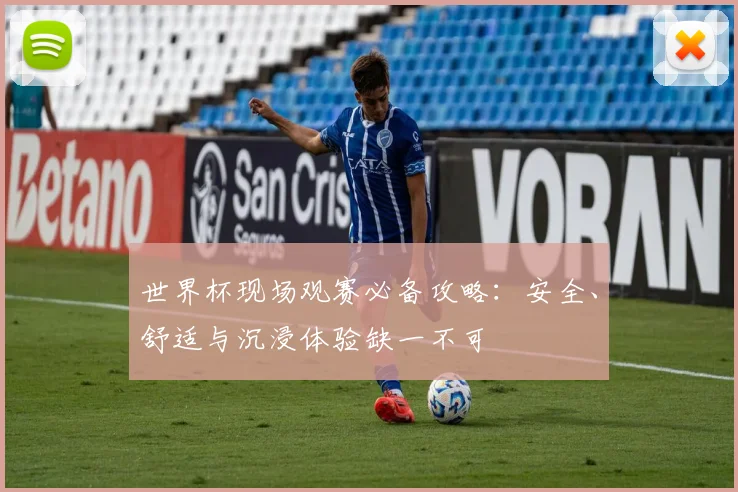 世界杯现场观赛必备攻略：安全、舒适与沉浸体验缺一不可