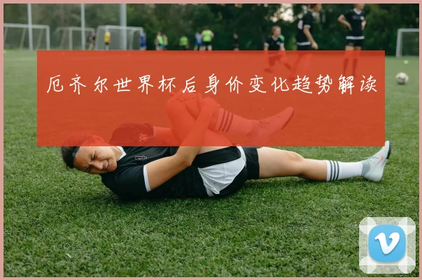 厄齐尔世界杯后身价变化趋势解读