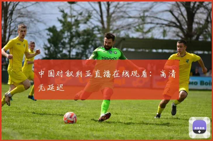 中国对叙利亚直播在线观看：高清无延迟