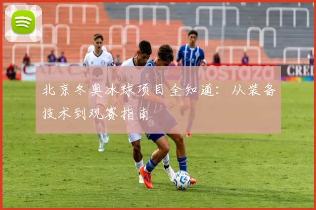 北京冬奥冰球项目全知道：从装备技术到观赛指南