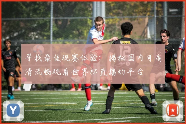 寻找最佳观赛体验：揭秘国内可高清流畅观看世界杯直播的平台