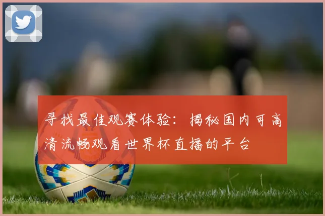 寻找最佳观赛体验：揭秘国内可高清流畅观看世界杯直播的平台