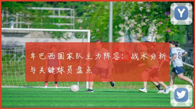 年巴西国家队主力阵容：战术分析与关键球员盘点