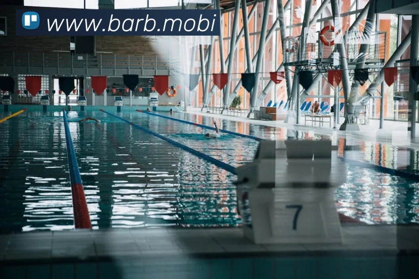 开云手机入口登录官网平台生态图