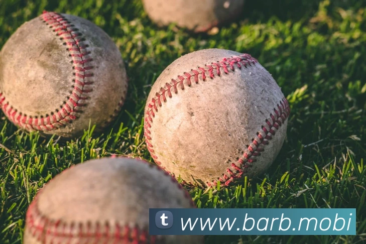 开云手机入口登录官网APP 封面图